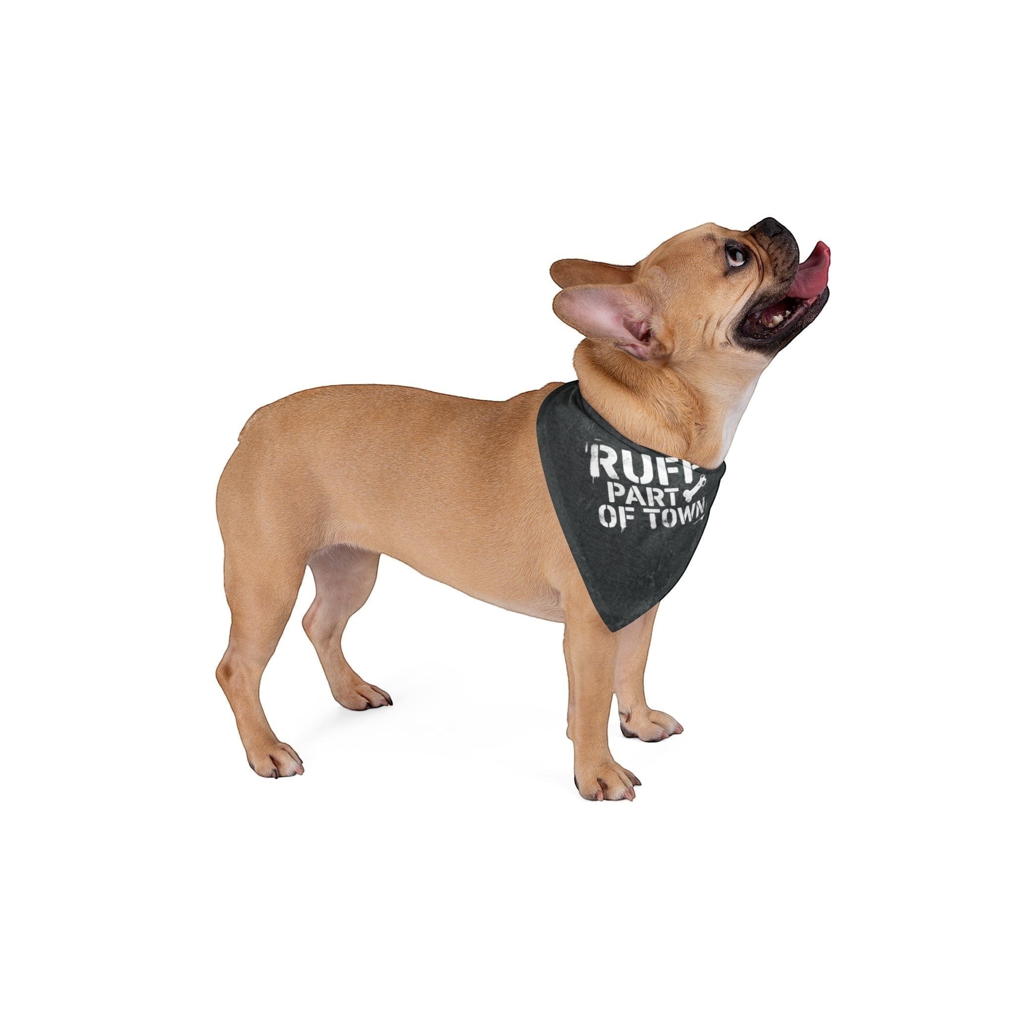 Ruff Part of Town dark grey distressed polyester dog bandana with white text "RUFF PART OF TOWN" on a tan French Bulldog.